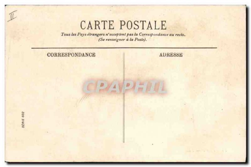 Old Postcard Zebras Giraffe Giraffe