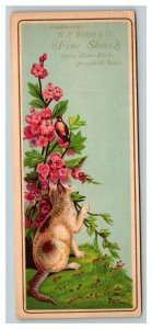 Vintage 1880's Victorian Bookmark Card W.P. Marsh & Co. Fine Shoes Springfield