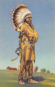 Pueblo Indian Dancer In Full Regalia Unused 