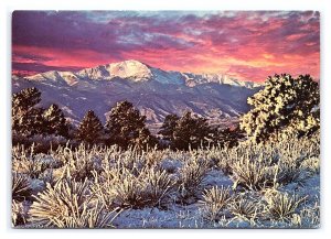 Pikes Peak In Winter Colorado Springs Colorado Postcard Continental View Card