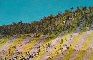 Hawaii Honolulu Sulphur Banks