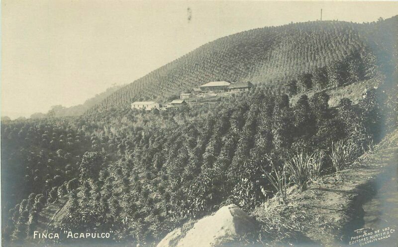 C-1910 Mexico hunter Finca Acapulco Postcard 9871