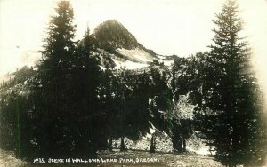 1920s Wallow Lake Park Oregon #35 RPPC Photo Postcard 20-850