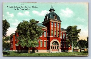 J86/ Roswell New Mexico Postcard c1910 Public School Pecos Valley  327