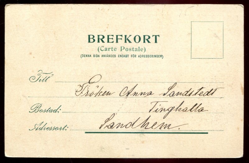 dc1785 - SWEDEN Lund Postcard 1901 Domkyrkan. Street View Stores