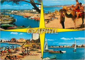 Modern Postcard El Arenal (Mallorca) Detalle Camel