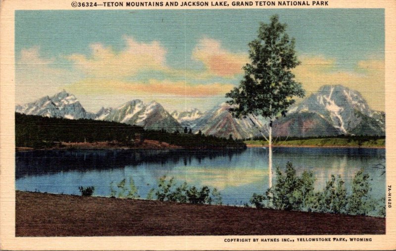 Wyoming Grand Teton National Park Teton Mountains and Jackson Lake Curteich