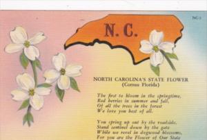 Dogwood Flowers North Carolina's State Flower