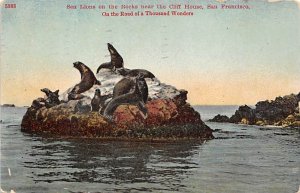 Sea Lions on the Rock near Cliff House San Francisco, California, USA 1910 