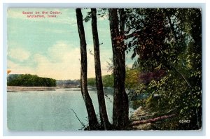 1912 Scene On The Cedar Trees Scene View Waterloo Iowa IA Antique Postcard 