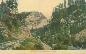 Black Hills, South Dakota Spearfish Canyon Pre-Linen Unused Postcard