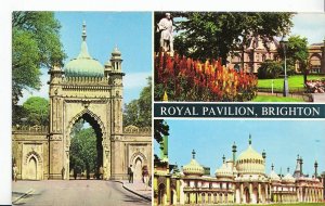 Sussex Postcard - Views of The Royal Pavilion - Brighton     XX382