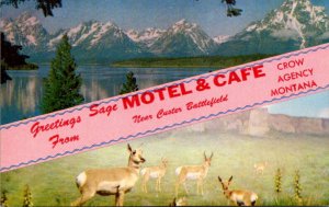 Greetings From The Sage Motel & Cafe Near Custer Battlefield Crow Agency Mont...