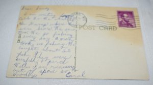 Black Bear Wisconsin Postcard Ck.223 Curteichcolor