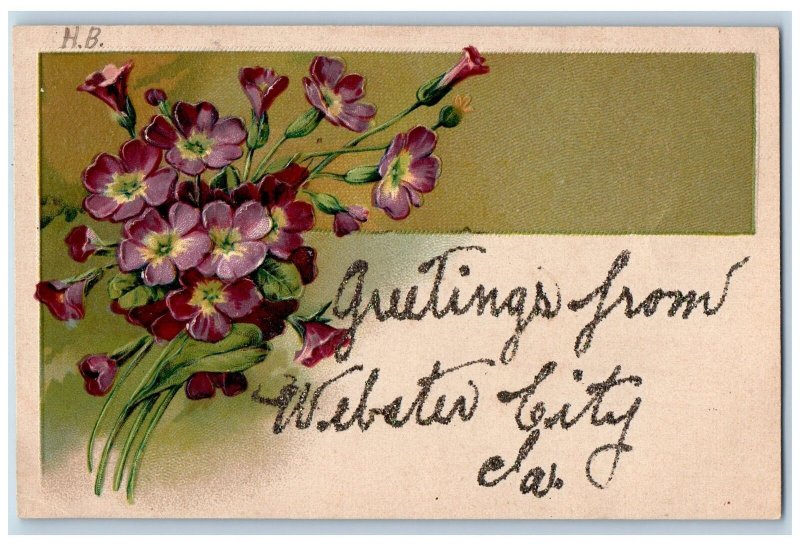 c1920's Greetings From Webster City Glitters Flower Iowa Correspondence Postcard