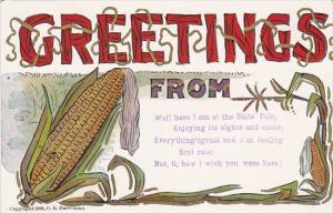 Greetings From The State Fair