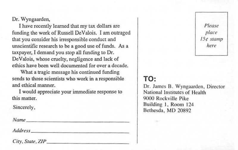 Cat Cats, Kitten Very thin paper Unused 