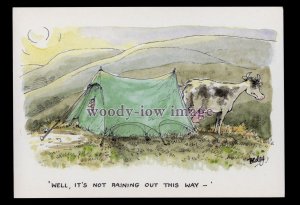 BES047 - Camping - Well, it's not raining out this way! - Besley comic postcard