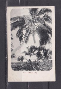 FIJI, MAN CLIMBING COCONUT PALM, c1910 ppc., unused.