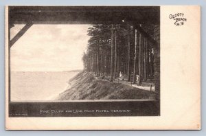 JH2/ Olcott Beach New York Postcard c1910 Pine Bluff Lake from Hotel 169