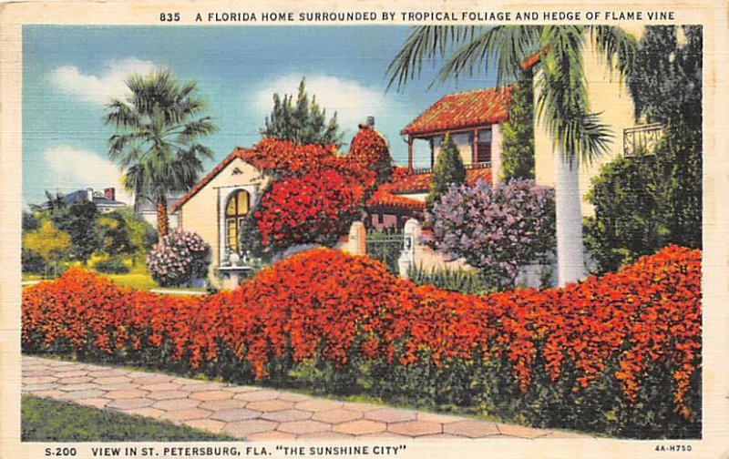 Florida Home Surrounded by Tropical Foliage and Flame Vine Sunshine City - St...