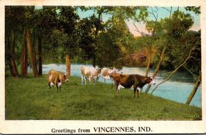 Indiana Greetings From Vincennes