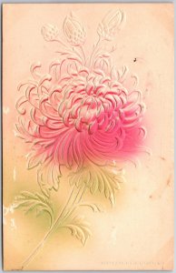 1907 Embossed Flower Aster Large Print Greetings Wishes Card Posted Postcard