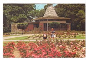 Centennial Rose Garden, Royal Botanical Gardens, Hamilton ON, Vintage Postcard