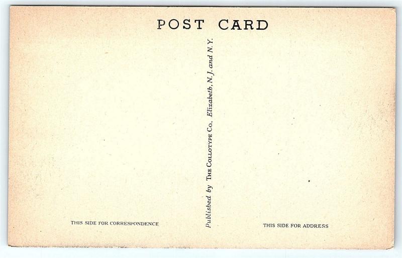 Postcard NJ Denville Arrowhead Lake Canoeing Boating C34 United States New Jersey Other