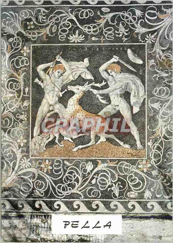 Postcard Modern Pella Ground Mosaic Deer's Hunting 3rd Cent B C