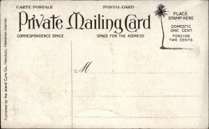Hawaii Peles Gate Volcano Kilauea c1910 Private Mailing Card Postcard