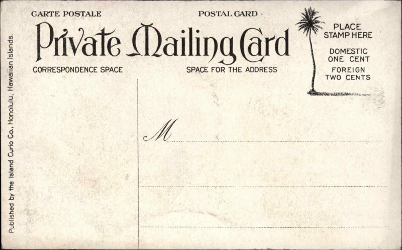Hawaii Peles Gate Volcano Kilauea c1910 Private Mailing Card Postcard
