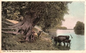 Vintage Postcard 1909 On The Meramec Near St. Louis Missouri Adolph Selige Pub.