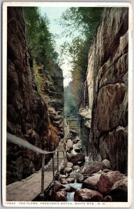 The Flume Franconia Notch White Mountains New Hampshire NH Postcard