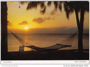 Cayman Islands Lazy Sunset Scene Wityh Hammock On The Beach