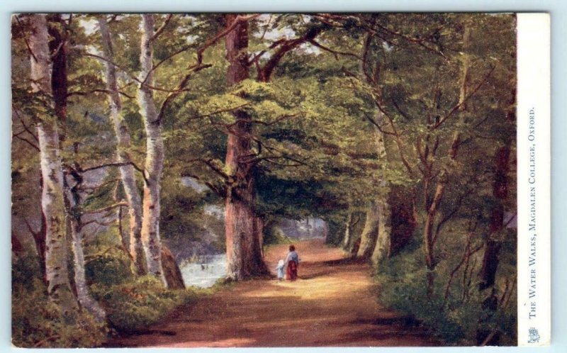 OXFORD, ENGLAND The Water Walks MAGDALEN COLLEGE Tuck Oilette c1910s Postcard