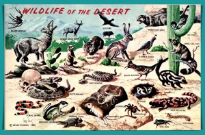 Wildlife Of The Desert - [MX-760]