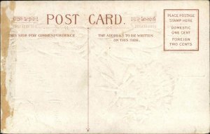 Thanksgiving NASH Native American Indian c1910 Embossed Postcard 