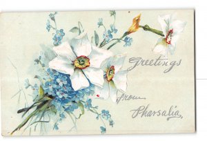 Pharsalia New York NY Embossed Postcard 1907-1915 Floral Greetings