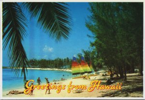 Greetings From Hawaii Postcard BS.27