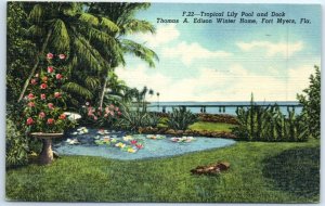 M-87543 Tropical Lily Pool and Dock Thomas A Edison Winter Home Florida