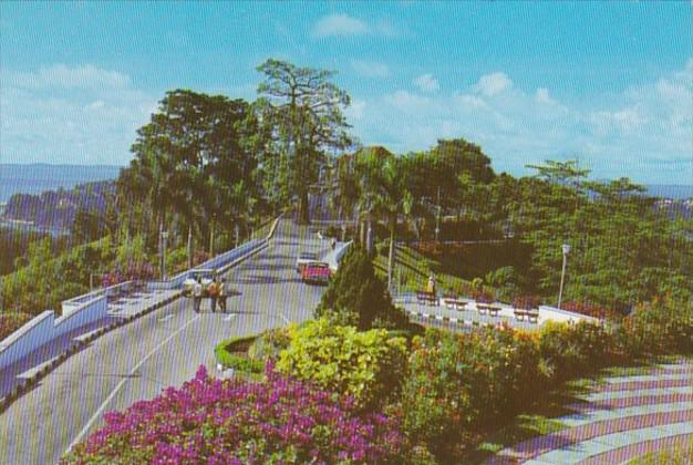 Singapore Mount Faber Beauty Spot