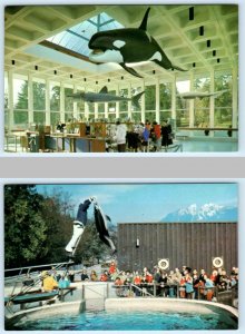 2 Postcards VANCOUVER, British Columbia Canada ~ AQUARIUM Killer Whale & Dolphin