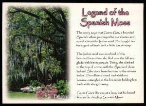 Legend of the Spanish Moss