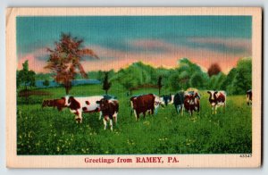 Cows Greetings From Ramey Pennsylvania Linen Postcard NYCE Farm Animals Vintage