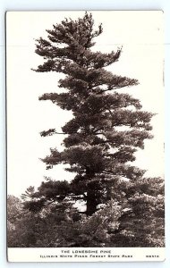 MT. MORRIS, IL~ THE LONESOME PINE  White Pines State Park 1953 CHILDS Postcard