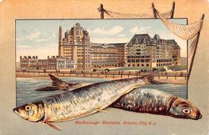 Marlborough Blenheim, Atlantic City, New Jersey, USA Shell Border Postcard
