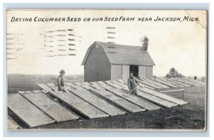 C. 1910 Seed Farm Near Jackson Michigan Postcard P191E