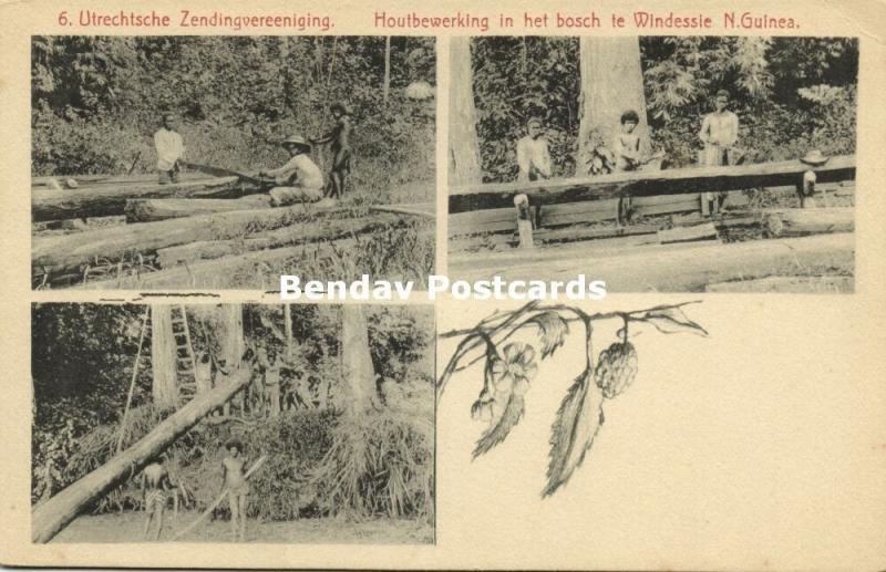 dutch new guinea, Logging in the Forest of Windessie, Lumber (1899) Mission