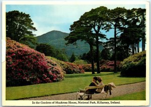 Postcard - In the Gardens of Muckross House, National Park, Killarney, Ireland